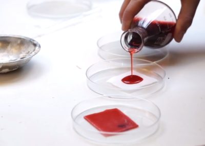 fabricademy-irene-caretti-waag